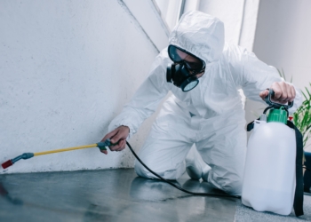 Lucha contra las plagas