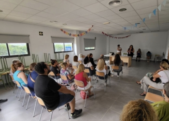 Sanidad llevará a cabo un plan de choque para esterilizar e identificar las colonias felinas