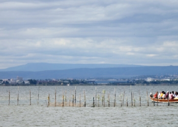 Las visitas nocturnas a l’Albufera agotan todas las plazas en dos días