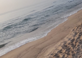 València reabre las playas afectadas por el vertido de fuel, pero mantiene la bandera roja de prohibición del baño