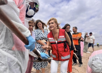 Salomé Pradas destaca la evolución favorable de la retirada de hidrocarburo