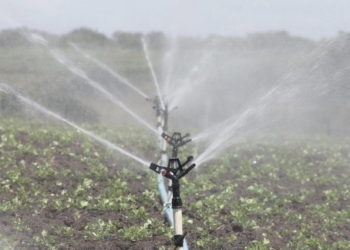 Agricultura aportará 2,6 millones de euros a siete comunidades de regantes de la Vega Baja