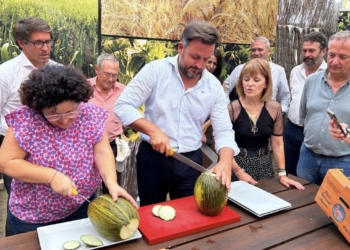 La producción de melón de Carrizales aumenta este año hasta los 400.000 kilos