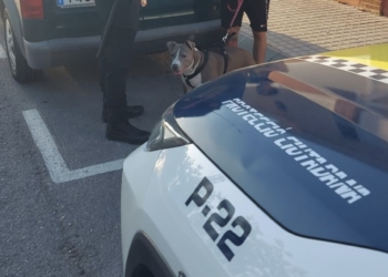 La Policía Local de Petrer intensifica el control de los perros en la vía pública