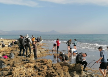 Lentisco, romero y posidonias