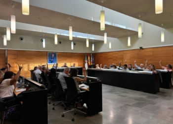 San Vicente del Raspeig aprueba en pleno la ordenanza reguladora que permite garantizar la prestación del servicio ‘Majors a casa’