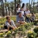 Elche recupera la tradición de plantar tagetes en huertos históricos para la Batalla de Flores