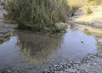 Petrer interviene con un aporte de 8.000 litros de agua en una poza para salvar al cachuelo valenciano