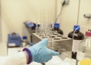 Un estudio asocia por primera vez el parásito anisakis con el cáncer de colon