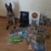La perra Kata de la Policía Local detecta un alijo de 5,5 kilos de droga con cannabis