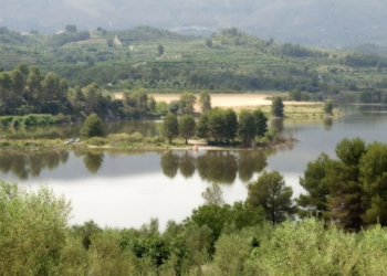 La Diputación de Alicante destina 380.000 euros al control de plagas de moscas y mosquitos en 128 municipios