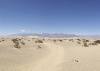 Revelan una reducción inesperada de carbono orgánico en zonas áridas por el impacto del cambio climático