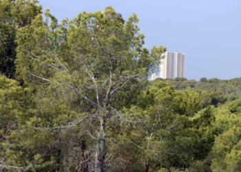 Benidorm dispondrá de una red municipal contraincendios forestales de agua depurada