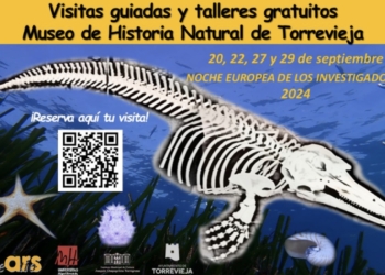 Vuelven las visitas guiadas y talleres del cerebro en el Museo de Historia Natural por la Noche Europea de los Investigadores