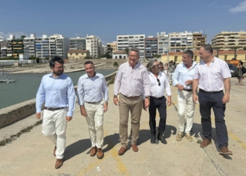 La Generalitat invierte 1,4 millones de euros en plantas fotovoltaicas para los puertos como Xàbia, Altea o Santa Pola