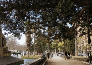 Parques y Jardines renueva el firme del Paseo de la Alameda