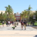 San Vicente aprobará una declaración institucional para mantener los estudios de Medicina en la UA consensuada por todas las formaciones