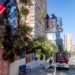 La sequía y la enfermedad ponen en jaque a los árboles de Benidorm