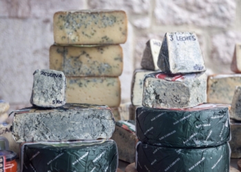 Crean una gran base de datos con la información genética de los microbios de nuestra comida