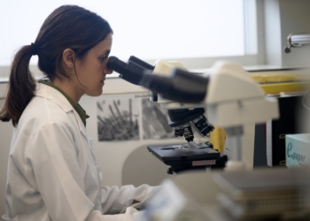 El Centro de Investigación Príncipe Felipe impulsa un programa vanguardista de investigación en cáncer