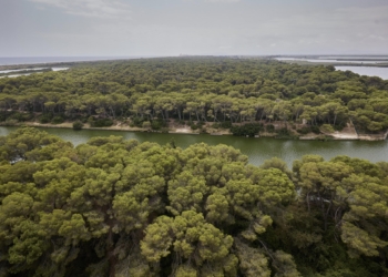 València comienza a redactar la candidatura para la declaración de l’Albufera como Reserva de la Biosfera de la Unesco