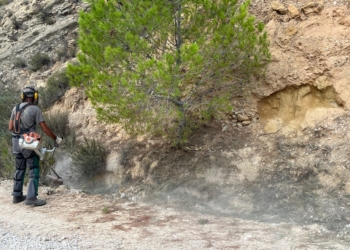 Medio Ambiente ejecuta una subvención de prevención de incendios en el camino del entorno del Parque de Montaña de San Cayetano