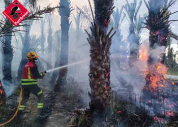 «No pensamos que nuestra vida peligre»