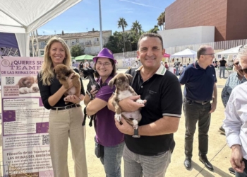 Gran éxito de la II Feria de Adopción Animal