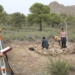 Investigadores de la UA y el Museo Arqueológico de Jumilla realizan nuevos hallazgos en la necrópolis del Collado y Pinar de Santa Ana