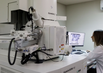 Crean una unidad de microscopía electrónica para realizar biopsias 3D de alta resolución