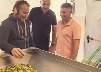 Se retoma la producción de aceite a través de la almazara municipal