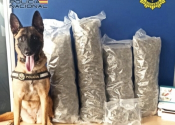 El Ayuntamiento adjudicará esta semana obras por valor de 605.000 euros para adecuar y mejorar de accesibilidad en el Casal de la Festa