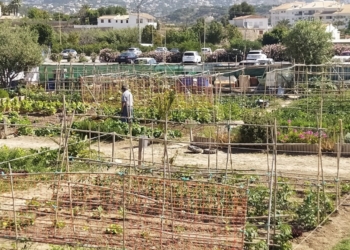 Altea ofrece formación y mejora de las instalaciones de los Huertos Urbanos