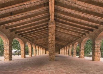 Dulces frutos bajo carpaneles