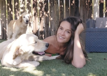 «El perro traspasa la ansiedad al amo»