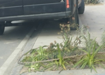 La Policía Local intensificará los controles de estacionamiento para evitar daños en la Avenida de la Constitución