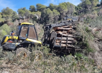 Xàbia inicia la primera fase de trabajos de clareo forestal