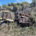 Xàbia inicia la primera fase de trabajos de clareo forestal