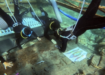 La UA participa en el proyecto de extracción del barco de época fenicia Mazarrón 2