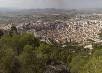 Participación Ciudadana adjudica 21.000 euros de subvención a las diferentes asociaciones vecinales