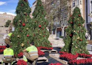 Alicante tapiza de flores y adornos navideños espacios emblemáticos de la ciudad