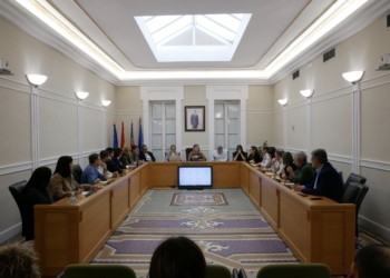 El pleno da luz verde a una inyección de 250.000 euros para distintas inversiones en Crevillent