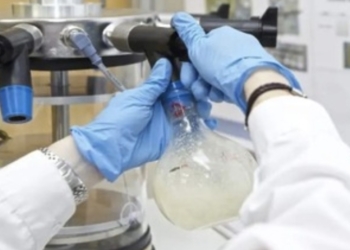 La Universidad de Alicante incorpora nuevo talento nacional e internacional a su personal investigador