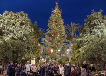 Este domingo se realizará el encendido del árbol de Navidad procedente de Suecia