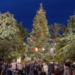 Este domingo se realizará el encendido del árbol de Navidad procedente de Suecia