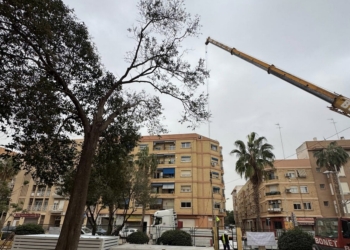 Educación inicia la instalación de aulas prefabricadas en el CEIP La Fila de Alfafar para acoger al alumnado del CEIP Orba