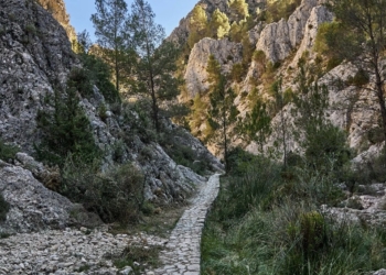 La Ruta del Barranco del Cint