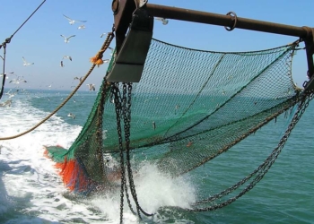 La flota pesquera de Altea tiene «esperanza» tras rozar el caos normativo