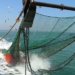 La flota pesquera de Altea tiene «esperanza» tras rozar el caos normativo