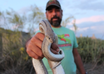 «La biodiversidad es como un puzle: todas las piezas son importantes»